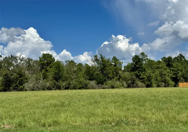 Photo 4 of Land for sale at Tbd04 Westlake Rd, Trinity, TX 75862 | MLS# 46560903 | Listing updated on 2026-09-05