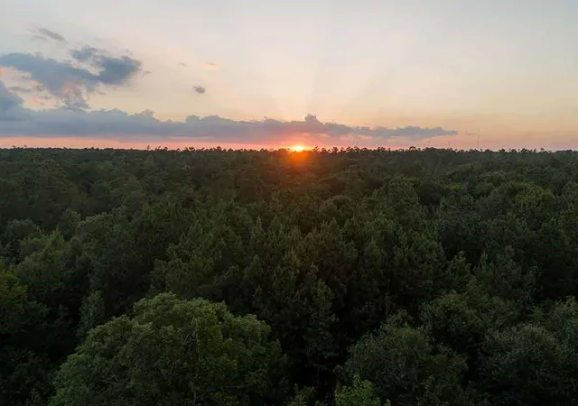 Photo 11 of Land for sale at 110 Coyote Run, Willis, TX 77378 | MLS# 75895470 | Listing updated on 2026-09-05