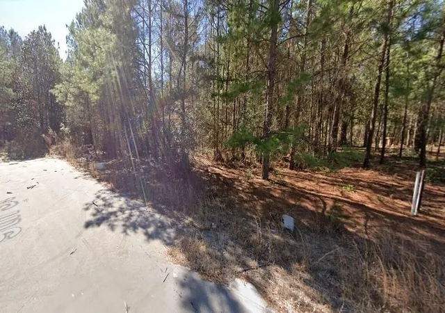 Photo 2 of Land for sale at 224 9th Street, Woodville, TX 75979 | MLS# 11512899 | Listing updated on 2026-09-16