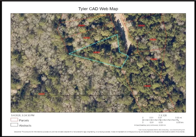 Photo 3 of Land for sale at 224 9th Street, Woodville, TX 75979 | MLS# 11512899 | Listing updated on 2026-09-16