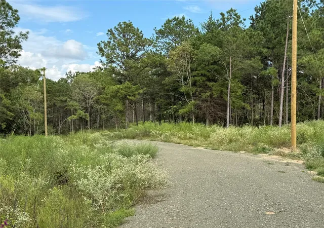 Photo 4 of Land for sale at 142 County Rd 4872 7, Timpson, TX 75975 | MLS# 47562707 | Listing updated on 2026-09-15