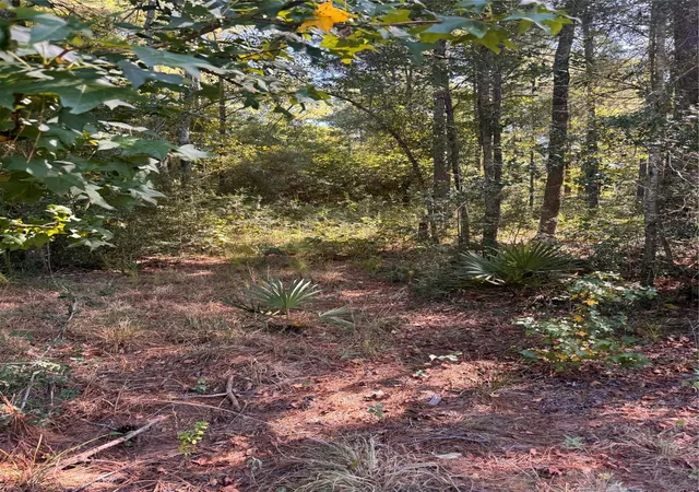 Photo 3 of Land for sale at 3b 1 61,62 Fire Sky Rd, Huntsville, TX 77340 | MLS# 6850586 | Listing updated on 2026-10-07