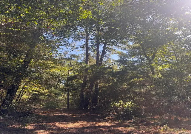 Photo 3 of Land for sale at 3b-1-61,62 Fire Sky Rd, Huntsville, TX 77340 | MLS# 6850586 | Listing updated on 2026-10-07