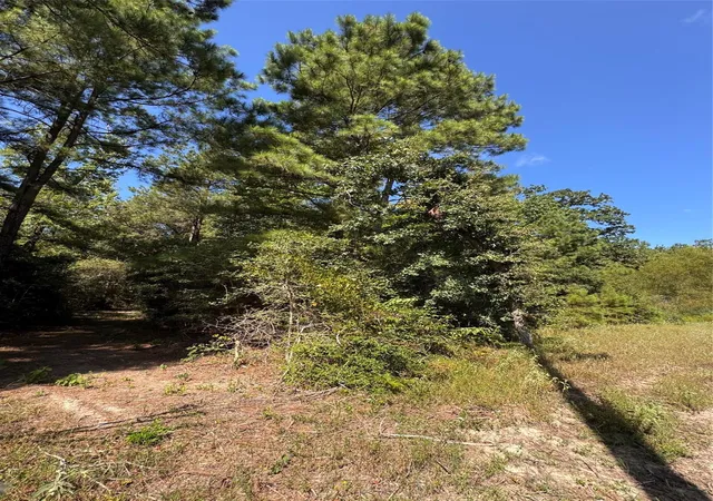Photo 4 of Land for sale at 3b-1-61,62 Fire Sky Rd, Huntsville, TX 77340 | MLS# 6850586 | Listing updated on 2026-10-07