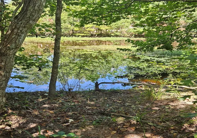 Photo 2 of Land for sale at 207 Road 2210, Cleveland, TX 77327 | MLS# 74142820 | Listing updated on 2026-09-09