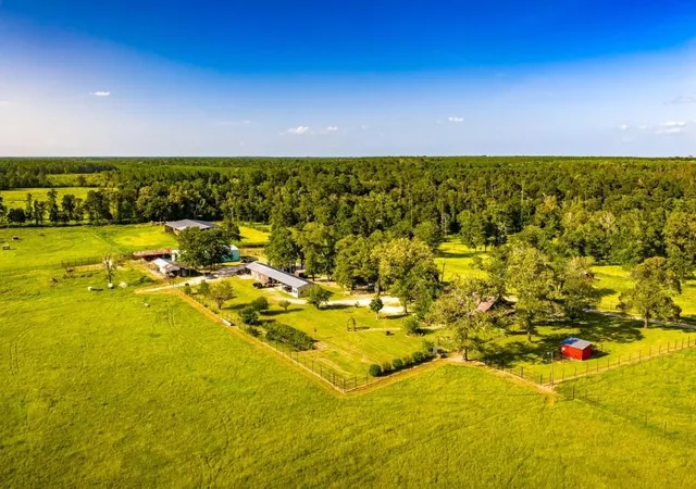 Land for sale at 1017 County Rd 4650, Kirbyville, TX 75956 | MLS# 12005111