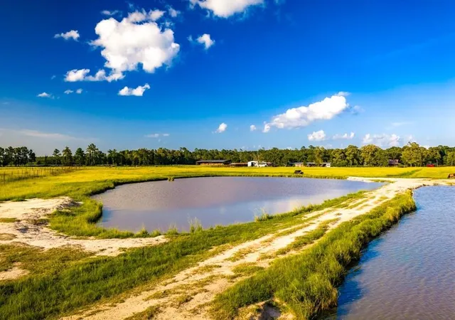 Photo 3 of Land for sale at 1017 County Rd 4650, Kirbyville, TX 75956 | MLS# 12005111 | Listing updated on 2026-09-07