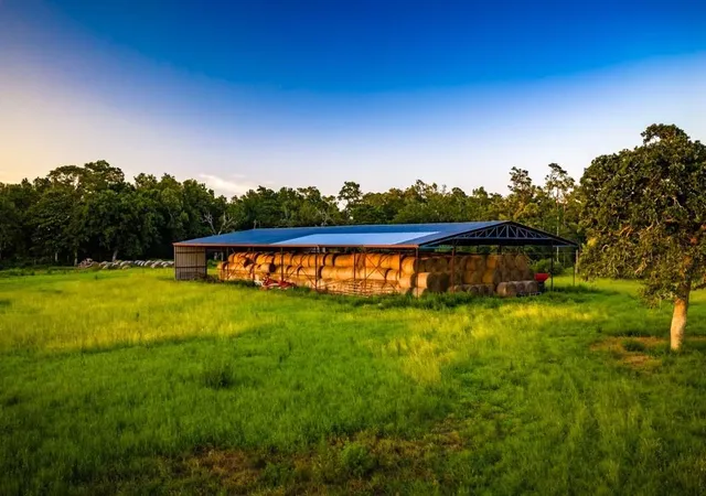 Photo 4 of Land for sale at 1017 County Rd 4650, Kirbyville, TX 75956 | MLS# 12005111 | Listing updated on 2026-09-07