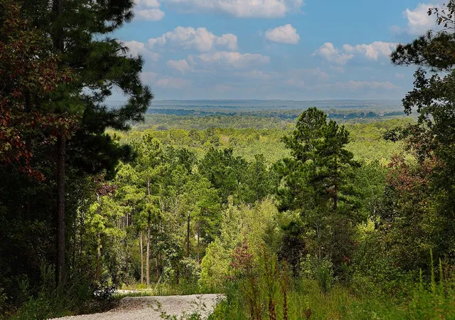 Photo 2 of Land for sale at 1929 Tx 110, Rusk, TX 75785 | MLS# 75474391 | Listing updated on 2026-09-21