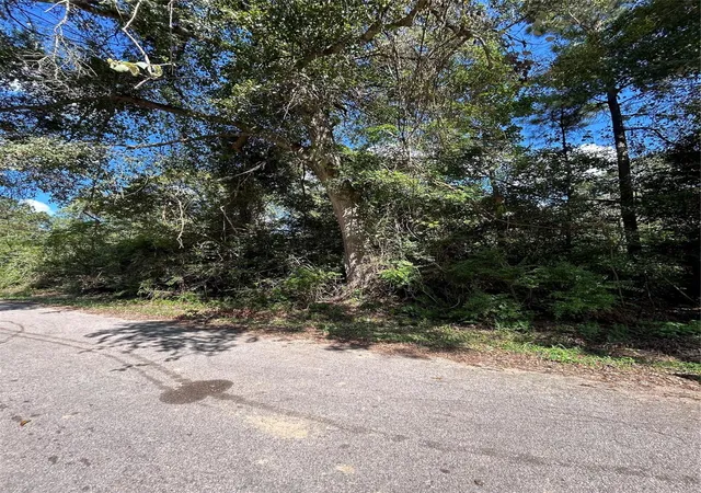 Land for sale at 0 Myrtie Dr, Shepherd, TX 77371 | MLS# 75029801