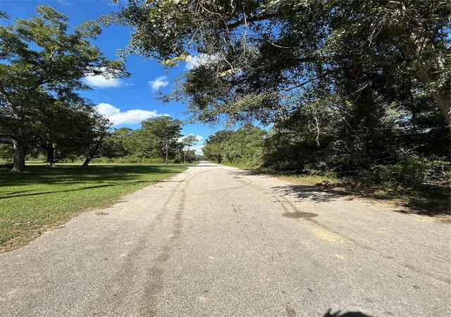 Photo 2 of Land for sale at 0 Myrtie Dr, Shepherd, TX 77371 | MLS# 75029801 | Listing updated on 2026-09-19