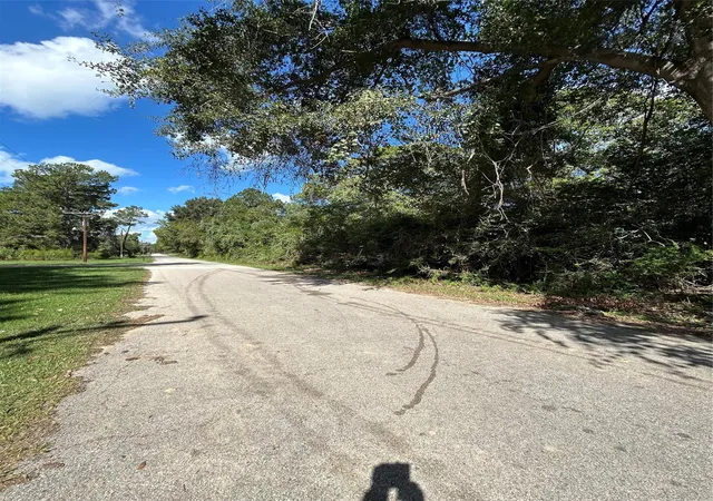 Photo 3 of Land for sale at 0 Myrtie Dr, Shepherd, TX 77371 | MLS# 75029801 | Listing updated on 2026-09-19