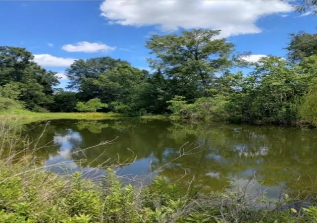 Photo 3 of Land for sale at 23133 Fm 2100, Huffman, TX 77336 | MLS# 81846393 | Listing updated on 2026-09-10