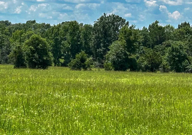 Land for sale at 3 Highway 7 W, Crockett, TX 75835 | MLS# 66557229