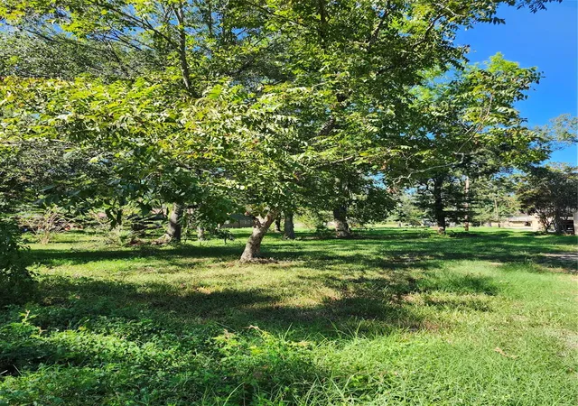 Photo 3 of Land for sale at Lot 244 Holly St, Porter, TX 77365 | MLS# 57884276 | Listing updated on 2026-09-28
