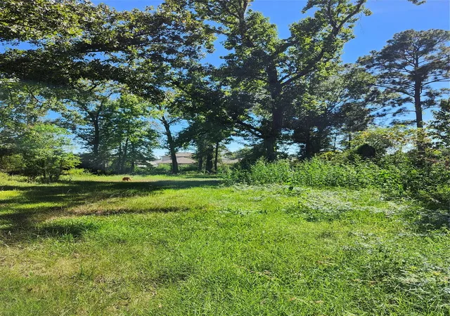 Photo 3 of Land for sale at Lot 244 Holly St, Porter, TX 77365 | MLS# 57884276 | Listing updated on 2026-09-28