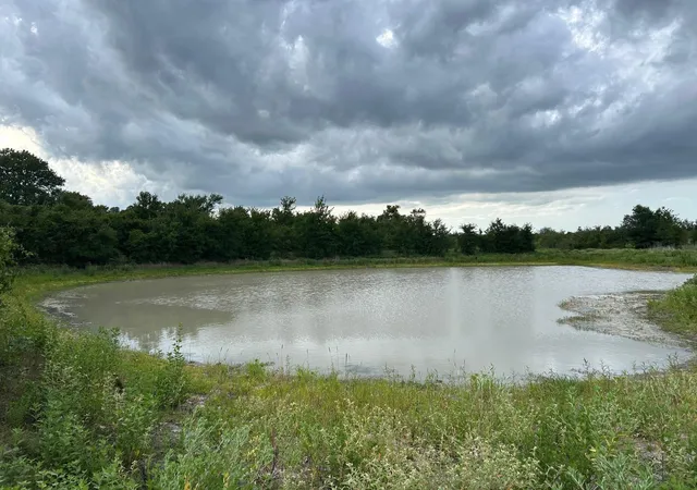 Land for sale at 8616 Schuster Rd, Ledbetter, TX 78946 | MLS# 63830189