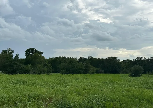 Photo 2 of Land for sale at 8616 Schuster Rd, Ledbetter, TX 78946 | MLS# 63830189 | Listing updated on 2026-09-24