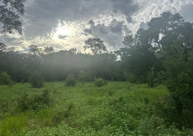 Photo 3 of Land for sale at 8616 Schuster Rd, Ledbetter, TX 78946 | MLS# 63830189 | Listing updated on 2026-09-24