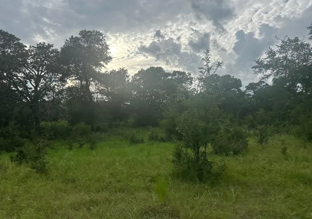 Photo 4 of Land for sale at 8616 Schuster Rd, Ledbetter, TX 78946 | MLS# 63830189 | Listing updated on 2026-09-24