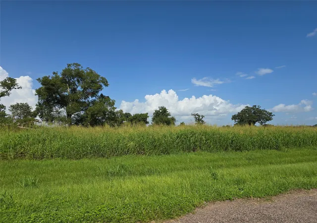 Photo 1 of Land for sale at 17018 Dewberry Ln, Rosharon, TX 77583 | MLS# 39992256 | Listing updated on 2026-09-21