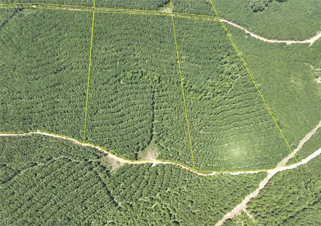 Photo 1 of Land for sale at 5 County Rd 3230, Colmesneil, TX 75938 | MLS# 62193180 | Listing updated on 2026-08-31