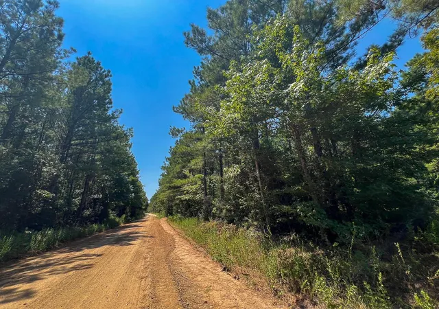 Photo 4 of Land for sale at 5 County Rd 3230, Colmesneil, TX 75938 | MLS# 62193180 | Listing updated on 2026-08-31