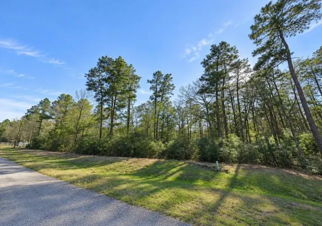 Photo 3 of Land for sale at 3-15-32 Winchester Rd, Huntsville, TX 77340 | MLS# 95594651 | Listing updated on 2026-09-12