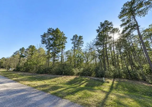 Photo 4 of Land for sale at 3-15-32 Winchester Rd, Huntsville, TX 77340 | MLS# 95594651 | Listing updated on 2026-09-12