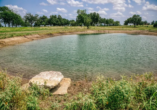 Photo 3 of Land for sale at 9909 Latium Cemetery Rd Tract 2, Burton, TX 77835 | MLS# 10549659 | Listing updated on 2026-10-02