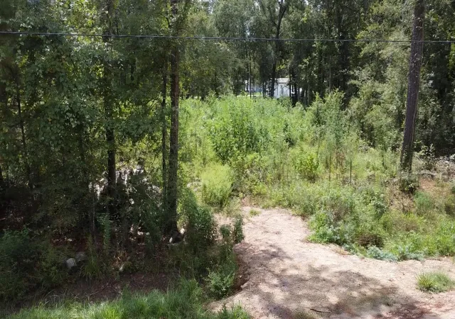 Photo 3 of Land for sale at 1244 Country Rd 6475, Dayton, TX 77535 | MLS# 31591640 | Listing updated on 2026-09-08