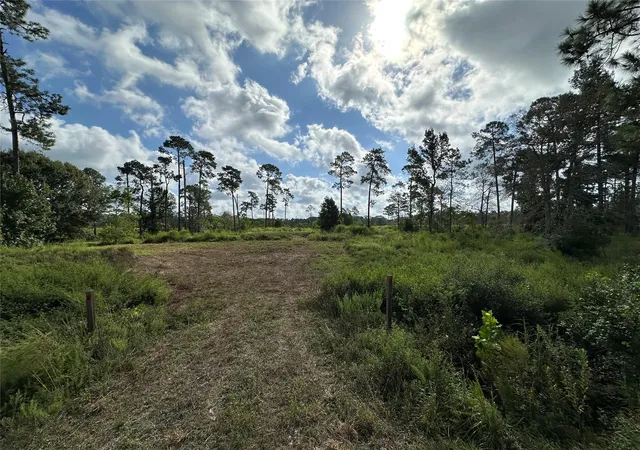 Photo 16 of Land for sale at 6650 Burrell Trl, Kountze, TX 77625 | MLS# 15362248 | Listing updated on 2026-09-23