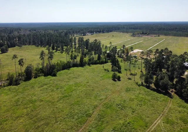 Photo 2 of Land for sale at 6650 Burrell Trl, Kountze, TX 77625 | MLS# 15362248 | Listing updated on 2026-09-23