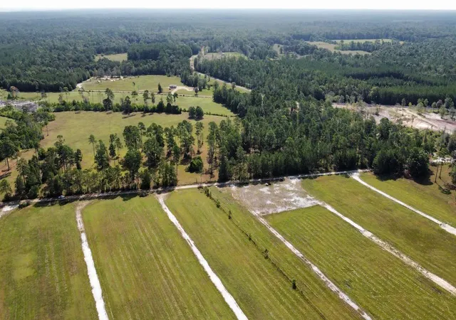 Photo 3 of Land for sale at 6650 Burrell Trl, Kountze, TX 77625 | MLS# 15362248 | Listing updated on 2026-09-23