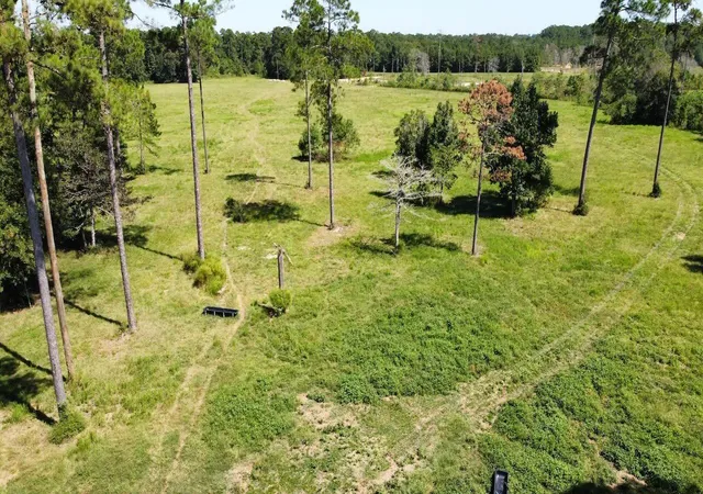 Photo 3 of Land for sale at 6650 Burrell Trl, Kountze, TX 77625 | MLS# 15362248 | Listing updated on 2026-09-23