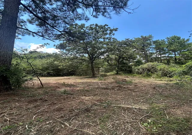 Photo 4 of Land for sale at 11919 Hickory Wood, Pinehurst, TX 77362 | MLS# 29147202 | Listing updated on 2026-09-18
