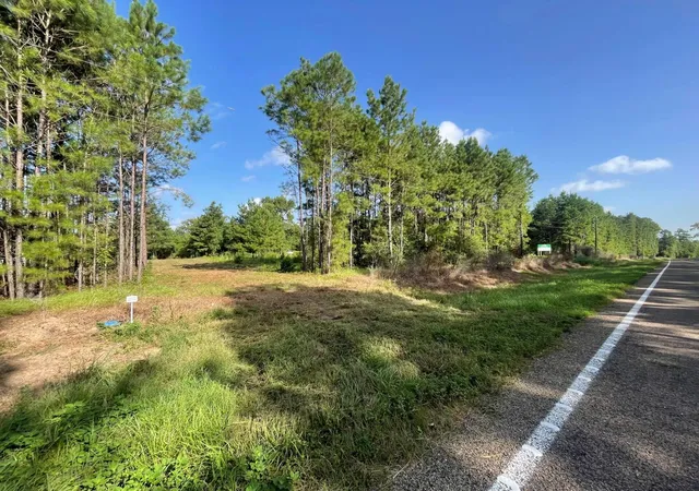 Photo 3 of Land for sale at Lot E 4 Fm 942, Livingston, TX 77351 | MLS# 50068762 | Listing updated on 2026-09-11