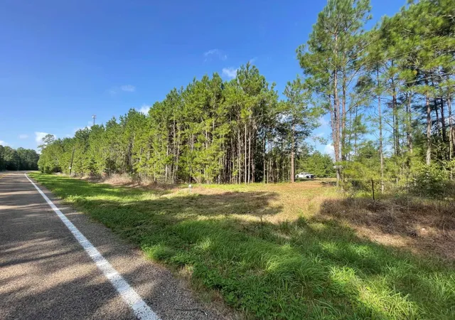 Photo 3 of Land for sale at Lot E 4 Fm 942, Livingston, TX 77351 | MLS# 50068762 | Listing updated on 2026-09-11