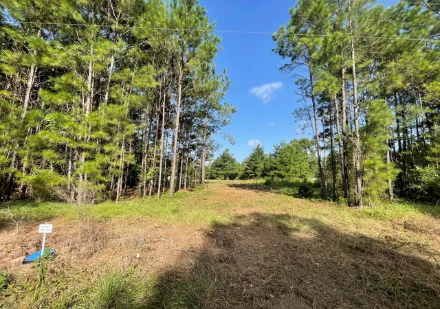 Photo 4 of Land for sale at Lot E 4 Fm 942, Livingston, TX 77351 | MLS# 50068762 | Listing updated on 2026-09-11