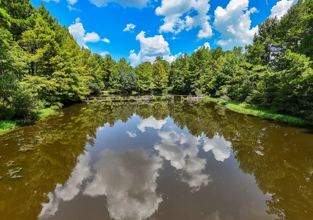 Photo 1 of Sale Pending at 11505 Us Hwy 69 N, Colmesneil, TX 75938 | MLS# 85141686 | Listing updated on 2026-10-05