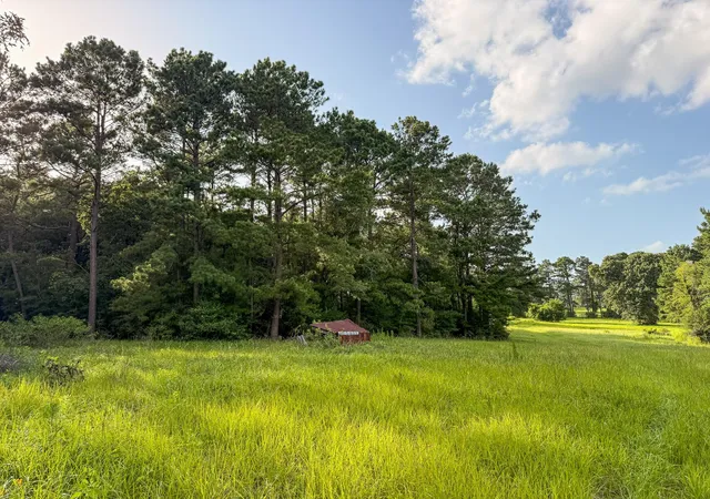 Photo 3 of Sale Pending at 11505 US Hwy 69 N, Colmesneil, TX 75938 | MLS# 85141686 | Listing updated on 2026-10-05