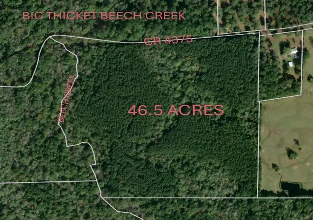 Photo 3 of Land for sale at 1810 County Rd 4375, Spurger, TX 75979 | MLS# 15795803 | Listing updated on 2026-09-12