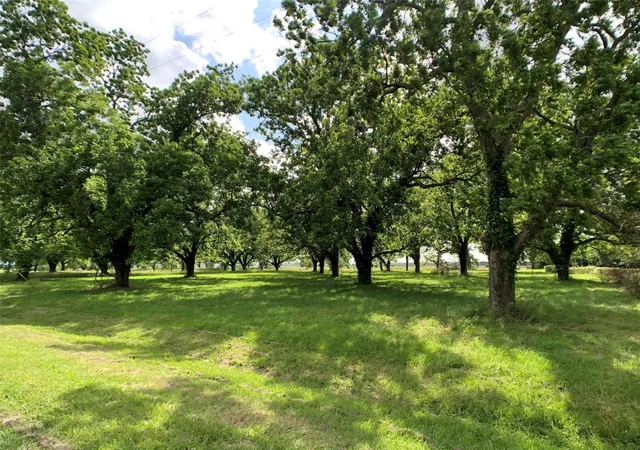 Photo 4 of Land for sale at 0001 Orchard Dr N, Wharton, TX 77488 | MLS# 48946327 | Listing updated on 2026-09-10
