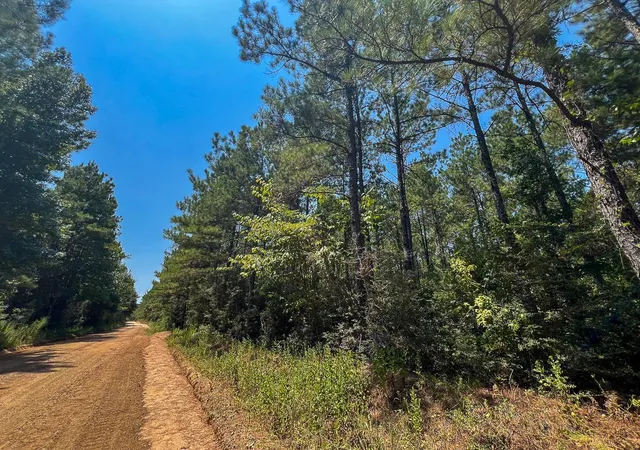 Photo 1 of Land for sale at 3 County Rd 3230, Colmesneil, TX 75938 | MLS# 89948063 | Listing updated on 2026-08-31