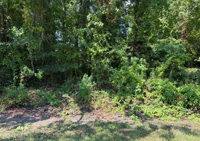 Land for sale at Tbd Beaver Den Dr, Coldspring, TX 77331 | MLS# 42549372