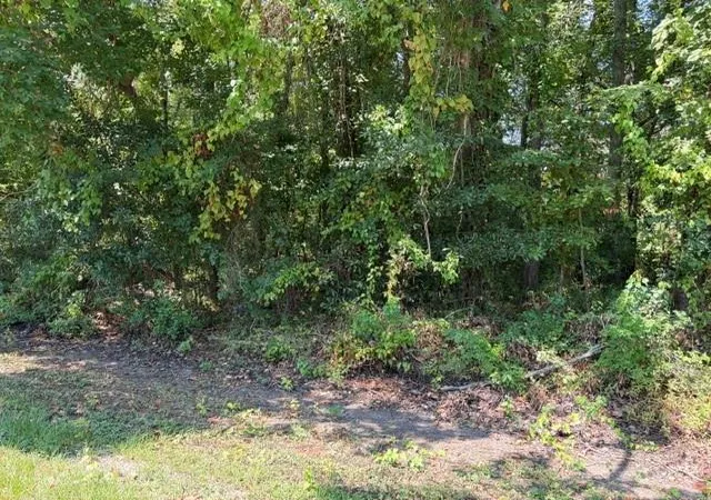 Photo 1 of Land for sale at Tbd Beaver Den Dr, Coldspring, TX 77331 | MLS# 42549372 | Listing updated on 2026-09-22