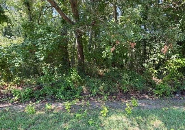 Photo 2 of Land for sale at Tbd Beaver Den Dr, Coldspring, TX 77331 | MLS# 42549372 | Listing updated on 2026-09-22
