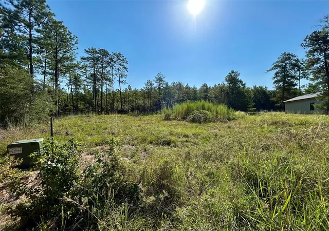 Photo 1 of Land for sale at 151 Ashbrook Ln, Brookeland, TX 75931 | MLS# 36519343 | Listing updated on 2026-09-07