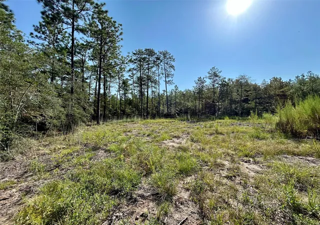 Photo 2 of Land for sale at 151 Ashbrook Ln, Brookeland, TX 75931 | MLS# 36519343 | Listing updated on 2026-09-07