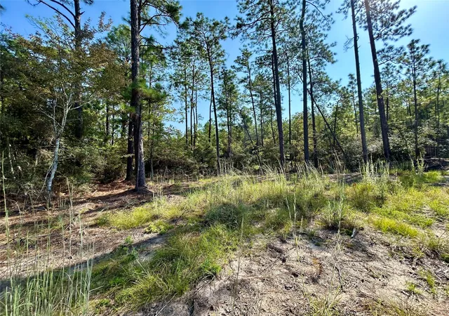 Photo 3 of Land for sale at 151 Ashbrook Ln, Brookeland, TX 75931 | MLS# 36519343 | Listing updated on 2026-09-07